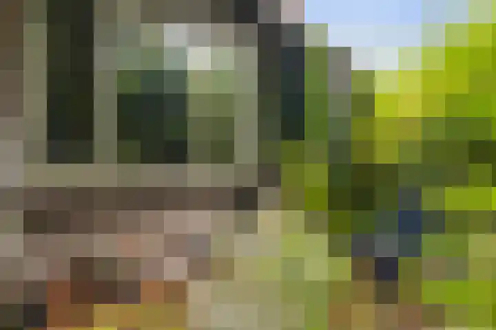 Singel 169 Dordrecht thumbnail 33