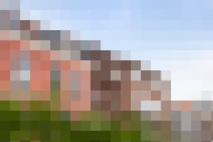 Singel 169 Dordrecht thumbnail 39