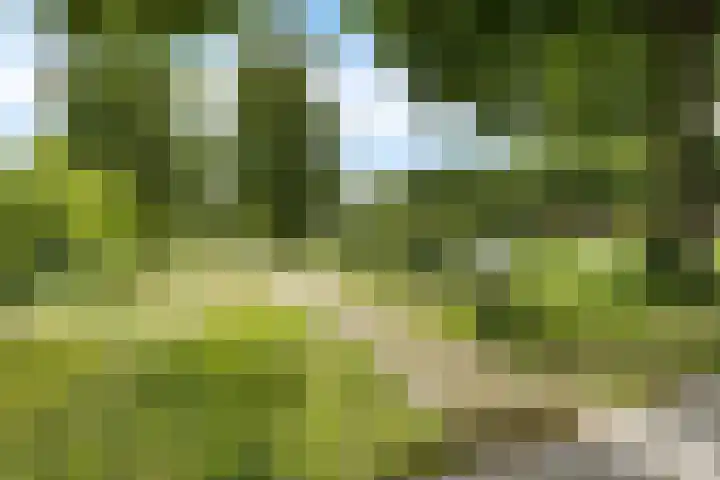 Singel 17 Stedum thumbnail 18