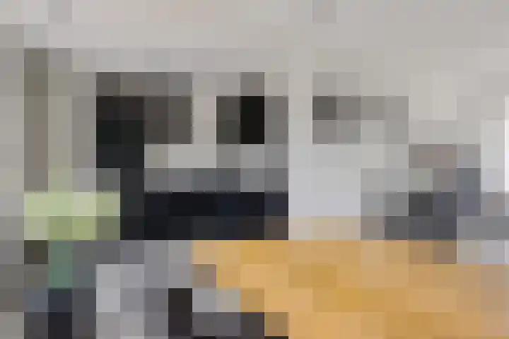 Singel 17 Stedum thumbnail 28