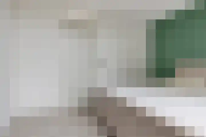 Singel 17 Stedum thumbnail 40