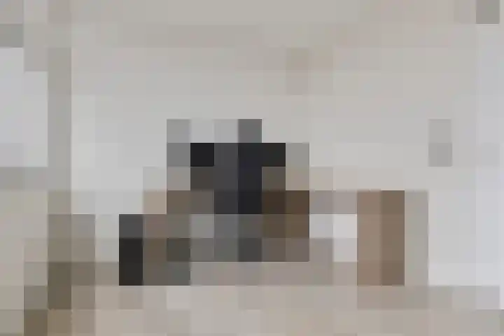 Singel 17 Stedum thumbnail 41