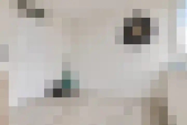 Singel 17 Stedum thumbnail 42