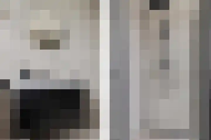 Singel 17 Stedum thumbnail 46