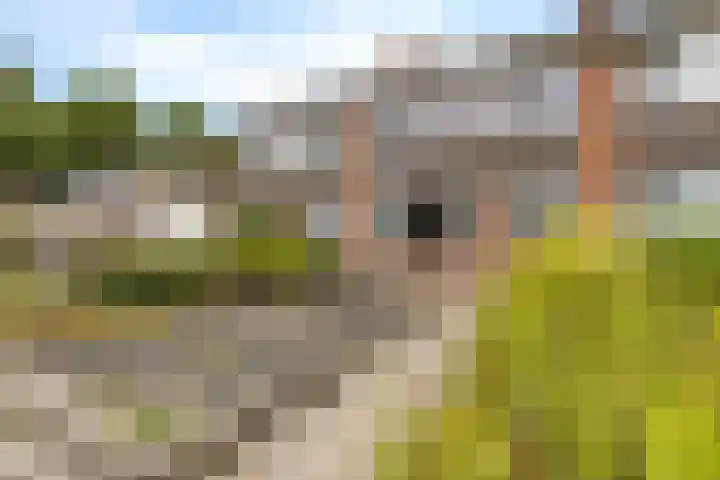Singel 17 Stedum thumbnail 6