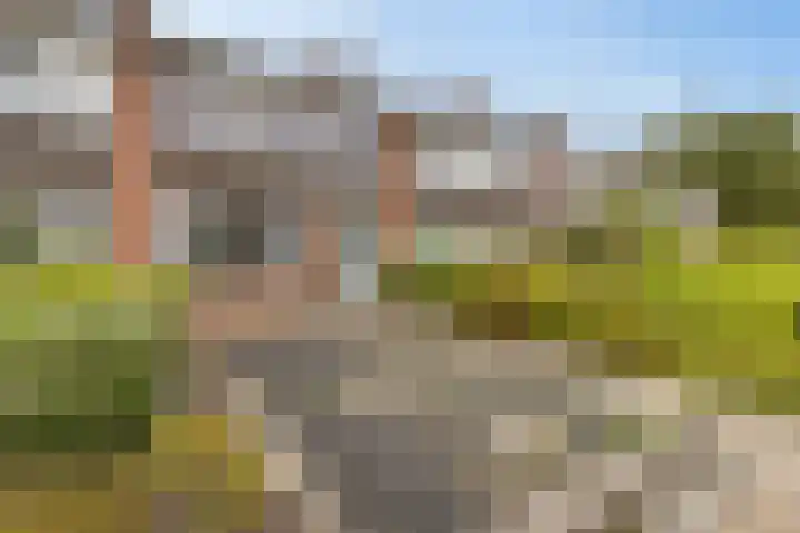 Singel 17 Stedum thumbnail 8