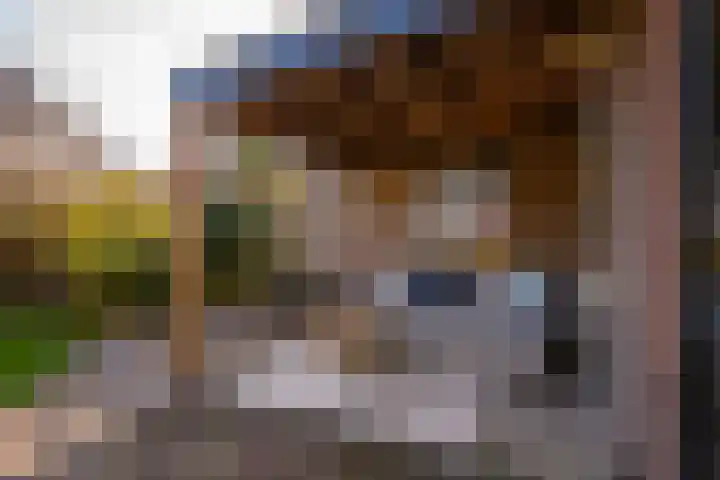 Singel 18 Bussum thumbnail 15