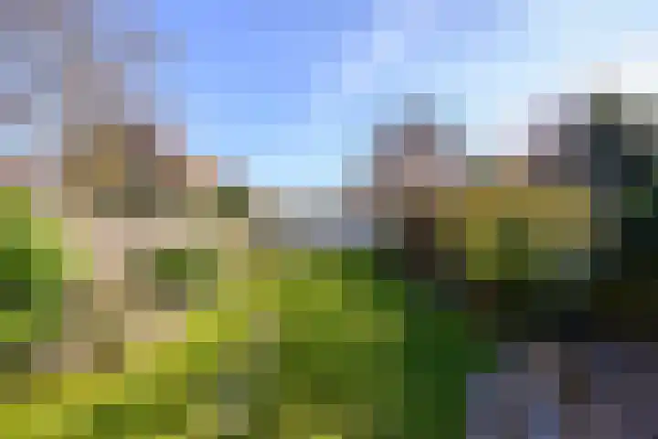 Singel 18 Bussum thumbnail 16