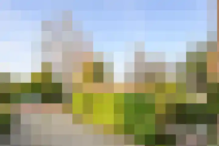 Singel 18 Bussum thumbnail 43