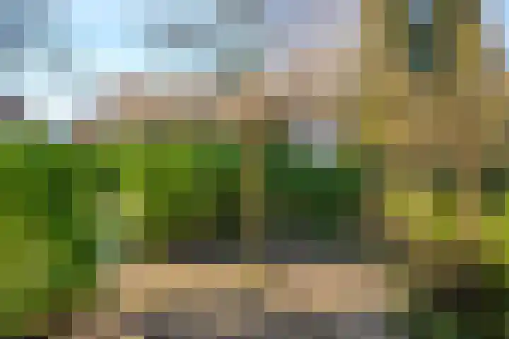 Singel 18 Bussum thumbnail 44