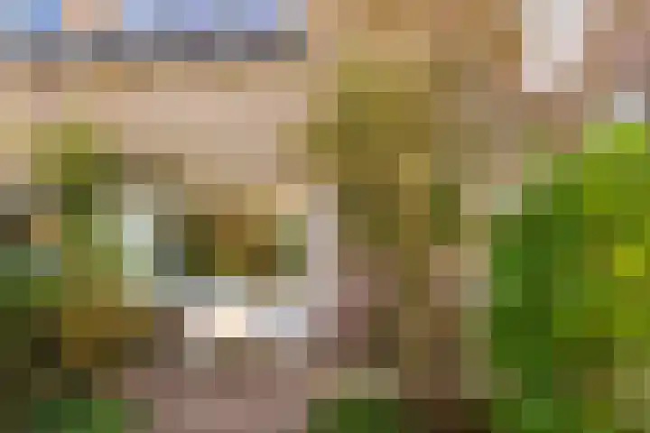 Singel 18 Bussum thumbnail 45
