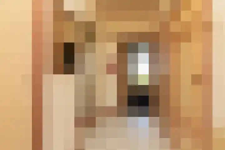 Singel 18 Tjerkwerd thumbnail 11