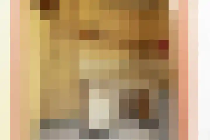Singel 18 Tjerkwerd thumbnail 13