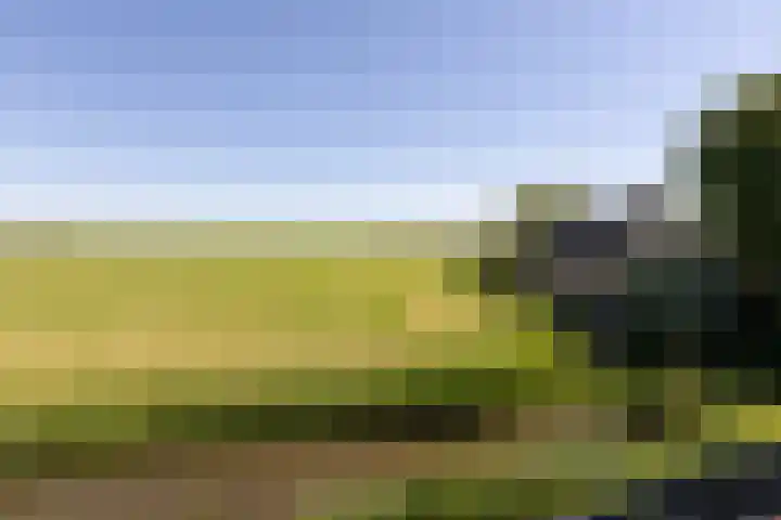 Singel 18 Tjerkwerd thumbnail 25
