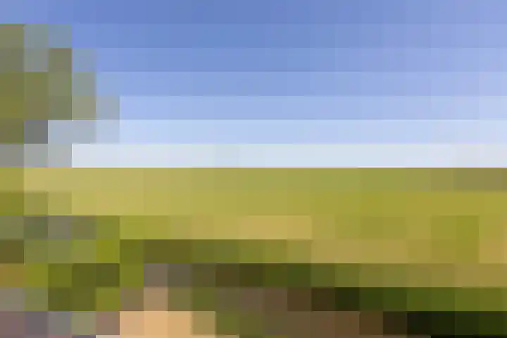Singel 18 Tjerkwerd thumbnail 26