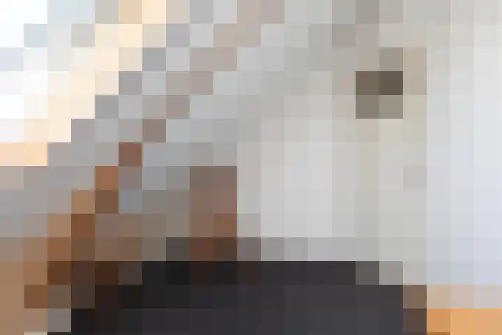 Singel 18 Tjerkwerd thumbnail 30