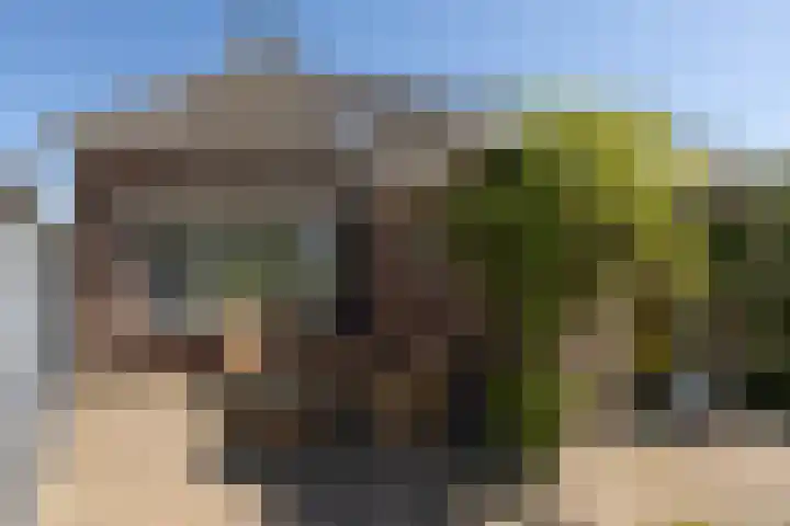 Singel 18 Tjerkwerd thumbnail 31