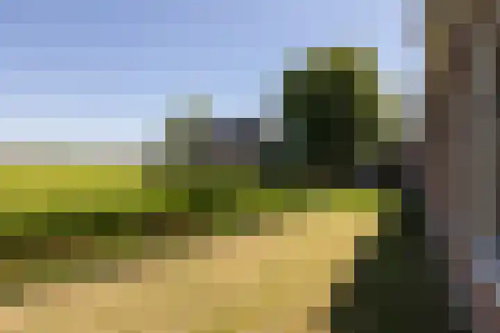 Singel 18 Tjerkwerd thumbnail 33