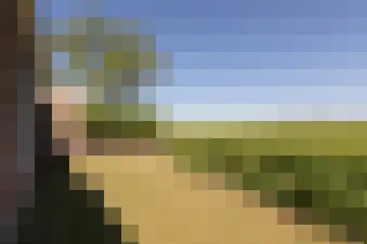 Singel 18 Tjerkwerd thumbnail 34