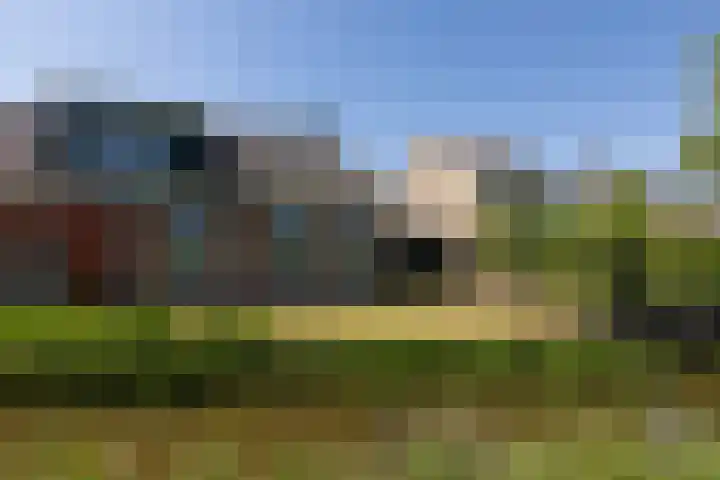 Singel 18 Tjerkwerd thumbnail 36