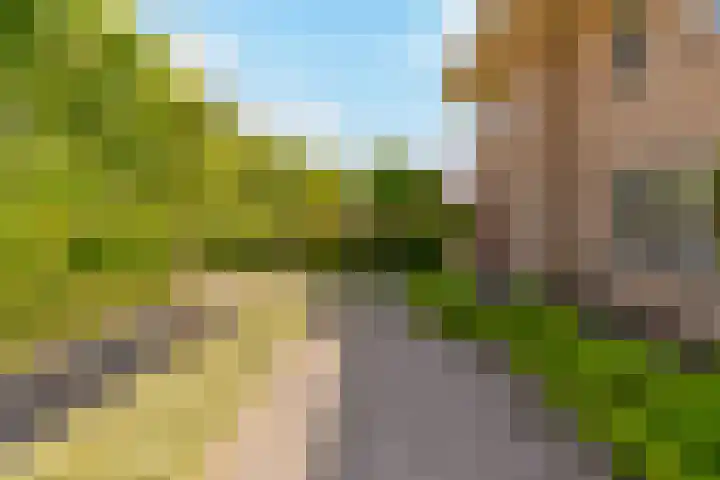 Singel 1940-1945 104 Oss thumbnail 4