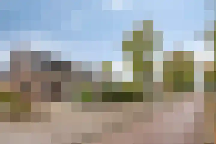 Singel 1940-1945 106 Oss thumbnail 28