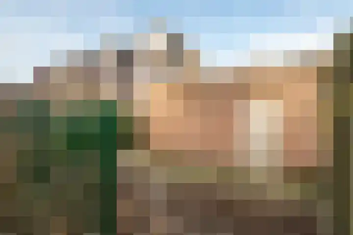 Singel 1940-1945 337 Oss thumbnail 19