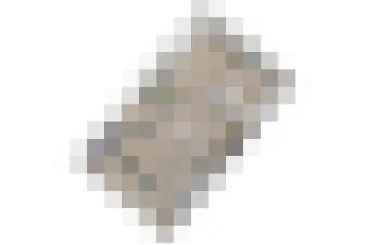 Singel 2 A Garyp foto 2