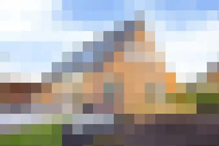 Singel 2 A Garyp foto 3