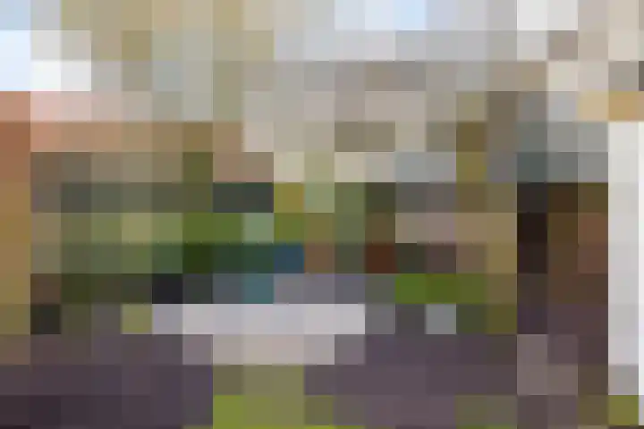 Singel 2 A Garyp thumbnail 44