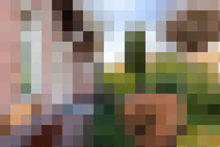 Singel 2 A Garyp thumbnail 47