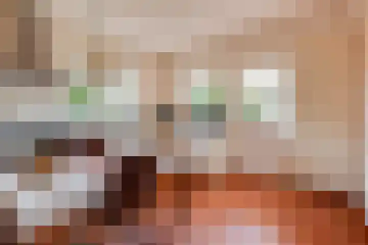 Singel 2 Blaricum thumbnail 14