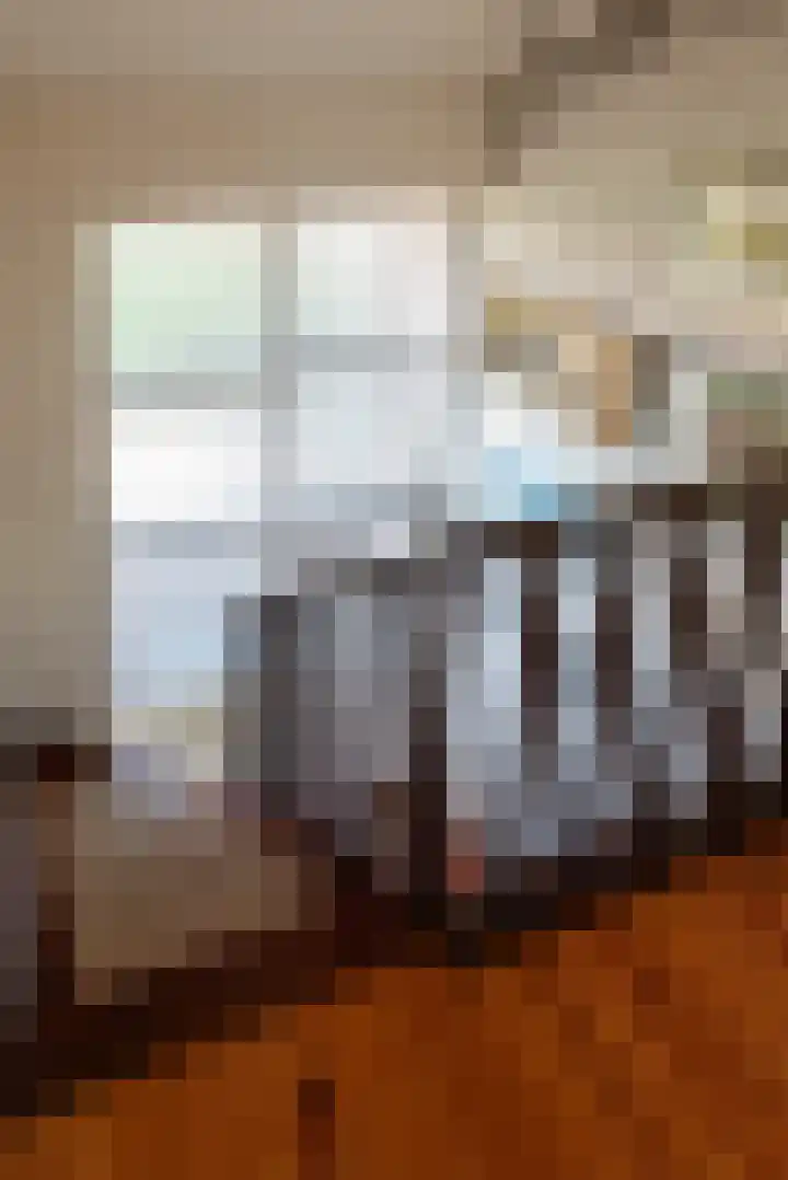 Singel 2 Blaricum thumbnail 19