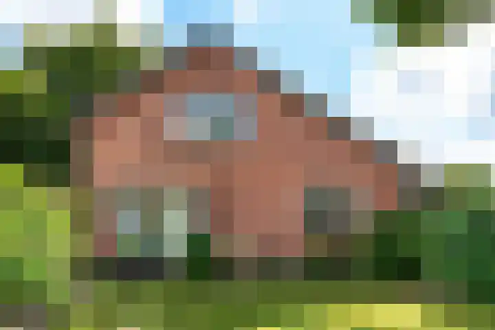 Singel 2 Blaricum foto 3