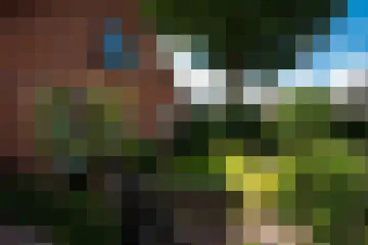 Singel 2 Blaricum thumbnail 37