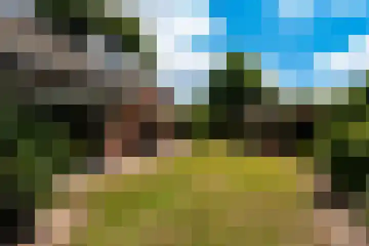 Singel 2 Blaricum thumbnail 39