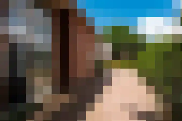 Singel 2 Blaricum thumbnail 4