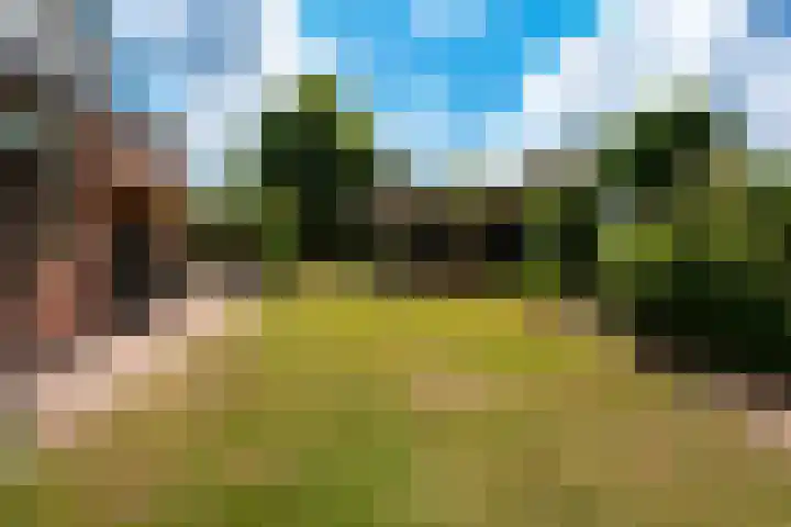 Singel 2 Blaricum thumbnail 42