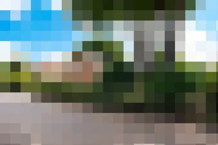 Singel 2 Blaricum thumbnail 48