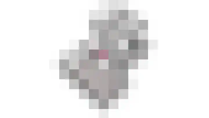 Singel 2 Blaricum thumbnail 50