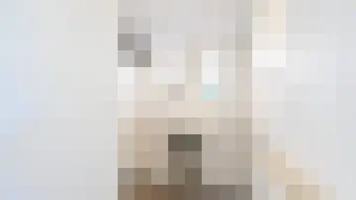 Singel 2 Sluis thumbnail 12