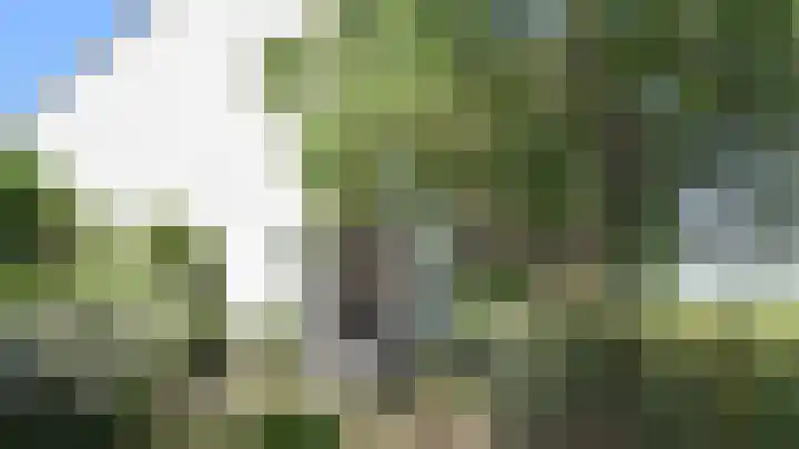Singel 2 Sluis thumbnail 20