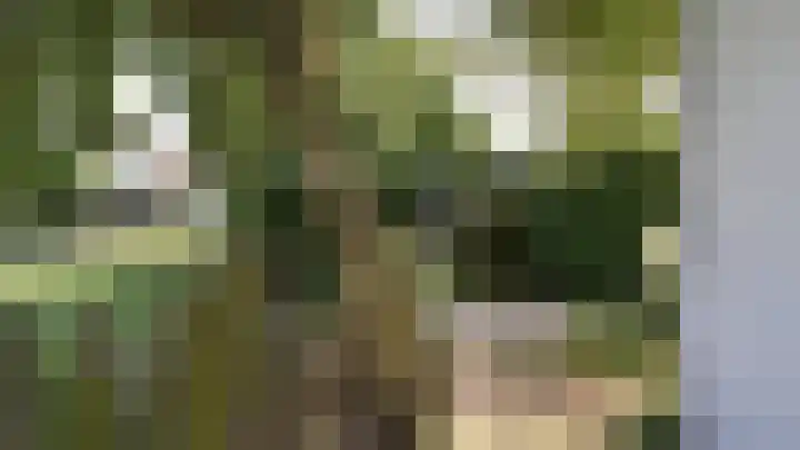 Singel 2 Sluis thumbnail 23