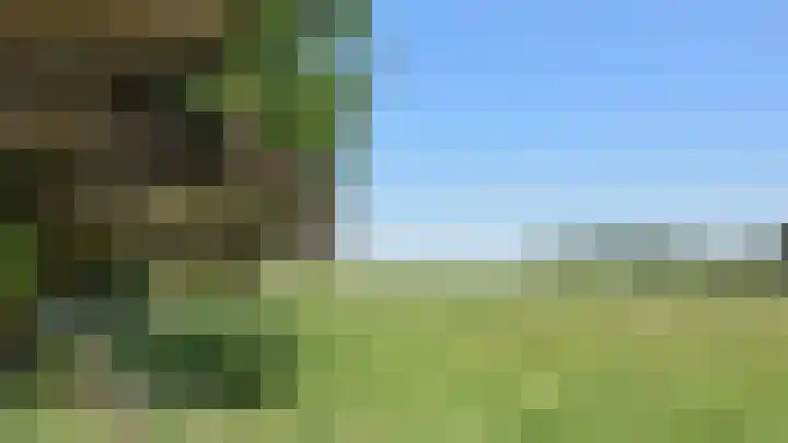 Singel 2 Sluis thumbnail 24