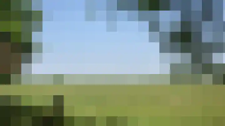 Singel 2 Sluis thumbnail 25
