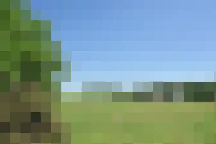 Singel 2 Sluis thumbnail 27