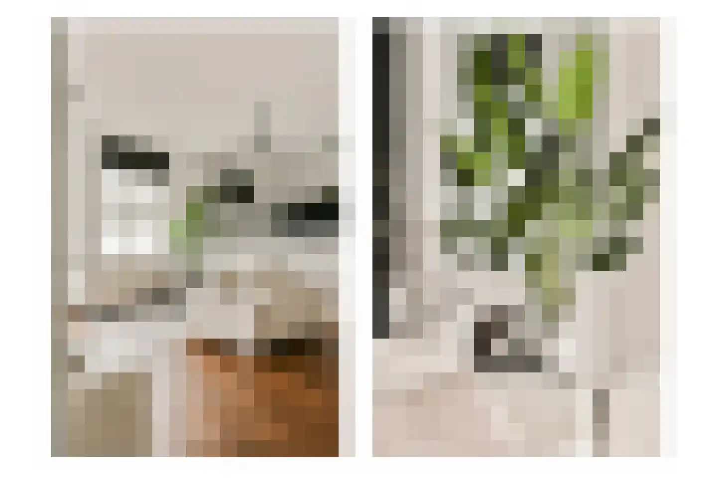 Singel 200 B Amsterdam thumbnail 11