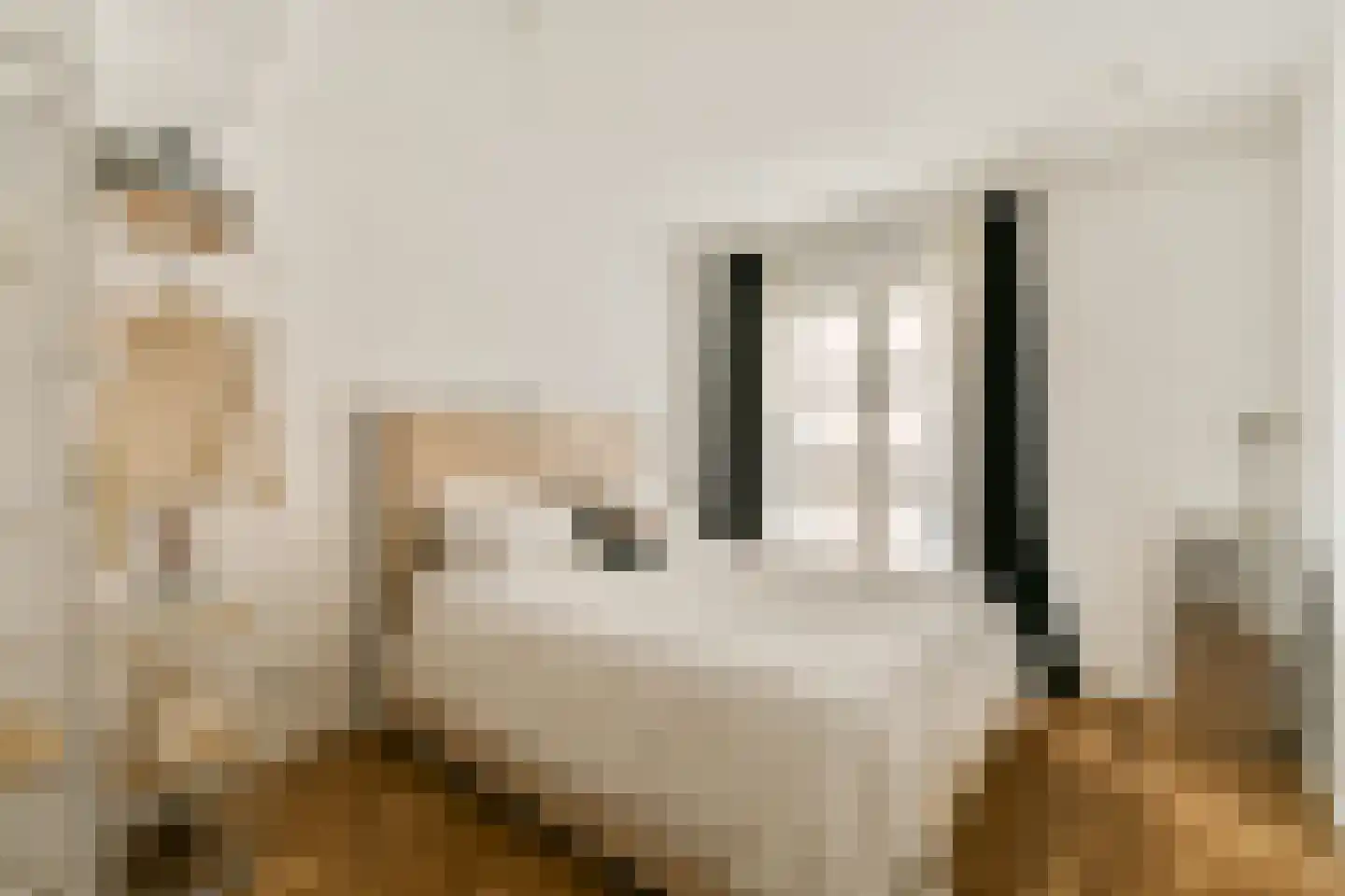 Singel 200 B Amsterdam thumbnail 27