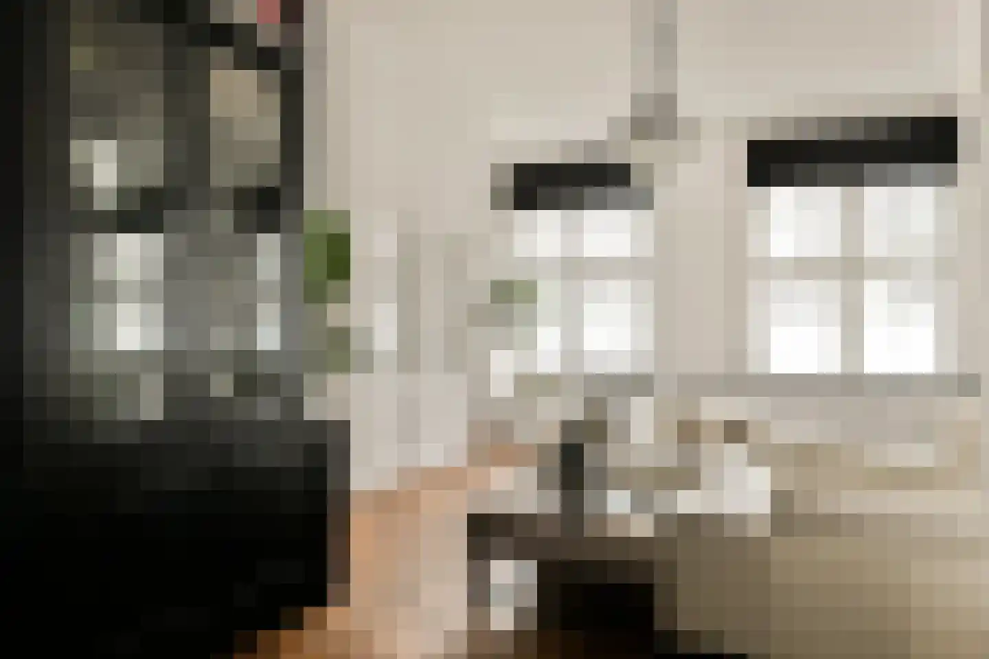 Singel 200 B Amsterdam thumbnail 4