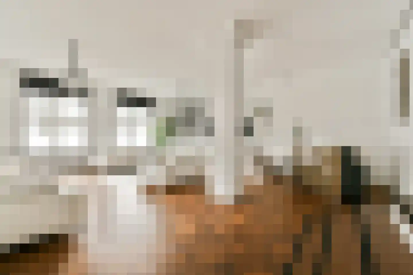 Singel 200 B Amsterdam thumbnail 6